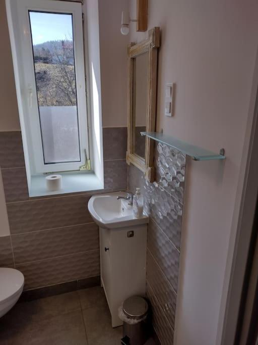 Sudety Hut 3 Leilighet Podgórzyn Eksteriør bilde