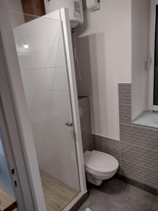 Sudety Hut 3 Leilighet Podgórzyn Eksteriør bilde